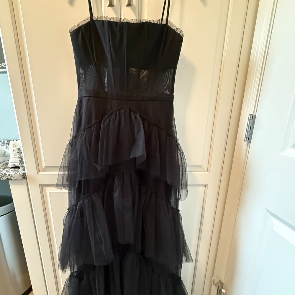 BCBG Corset Tulle Gown